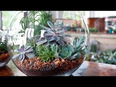 Como Fazer : Decoração -Terrario c. Plantas [ Mini Mundos ]