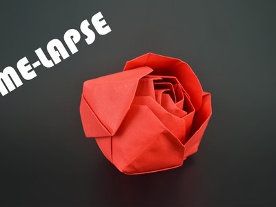 Origami Rosa Modular - Time-lapse