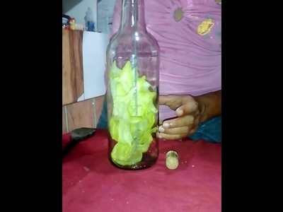 Como colocar flores dentro da garrafa