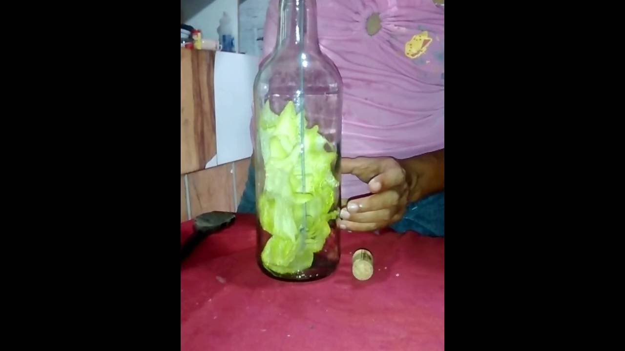 Como colocar flores dentro da garrafa