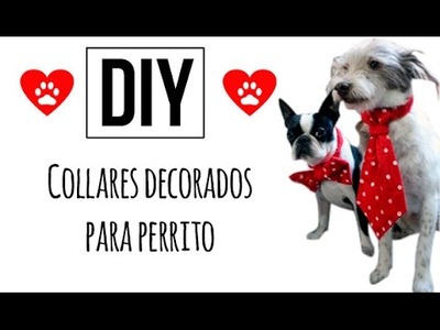 DIY ♥ Collares decorados para perritos ♥ SAN VALENTIN