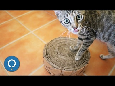 Arranhador para gatos de papelão | Tutorial
