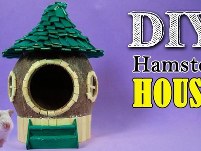DIY Casinha de Coco para Hamster | Casinha 3