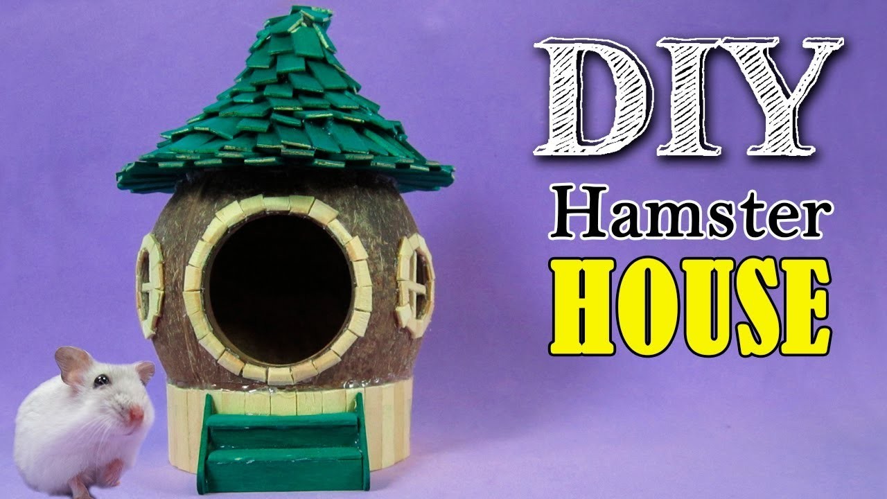 DIY Casinha de Coco para Hamster | Casinha 3