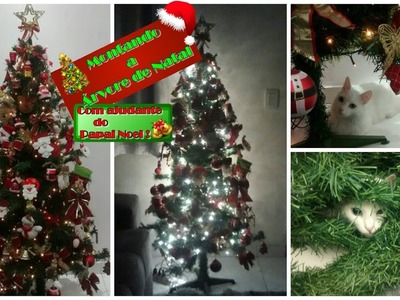 Montando a árvore de Natal e olha no que Deu! ????????????????