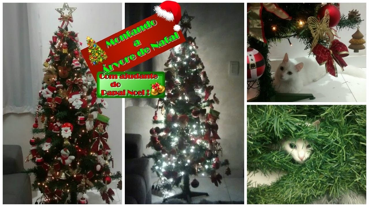 Montando a árvore de Natal e olha no que Deu! ????????????????