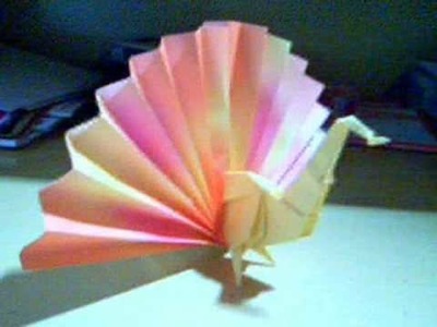 Origamis - Pouco de Tudo
