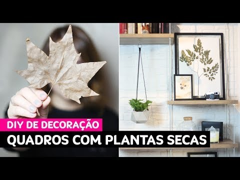 DIY: quadros com plantas secas para o Jardim no Cimento • Karol Pinheiro