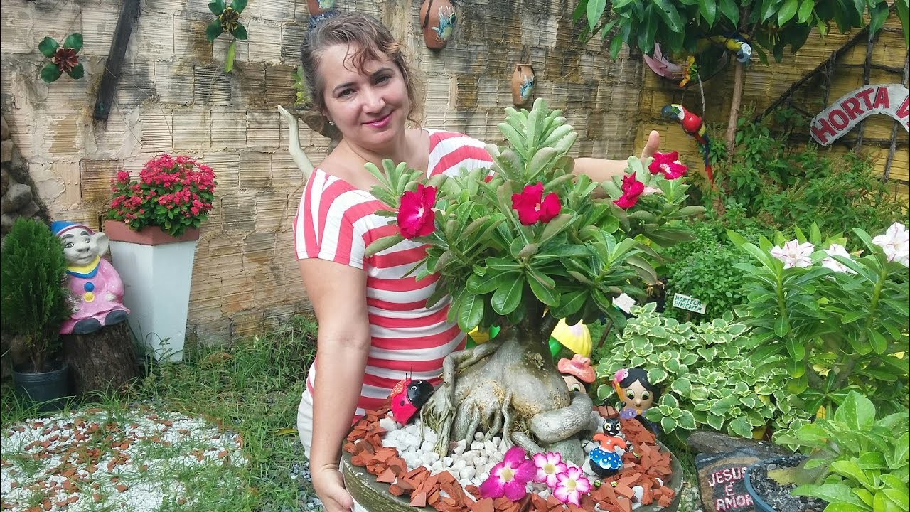 PODA EM COPA➡ BONSAI????(Rosa do deserto)