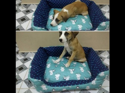 DINHA TODO DIA #5 Caminha pet.