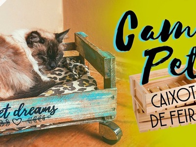 Cama PET Cachorro & Gato feita com Caixote de Feira