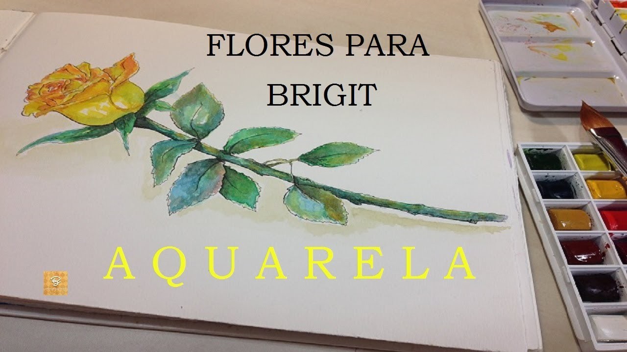Flores para Brigit (1) - Aquarela #4 - Estúdio Brigit