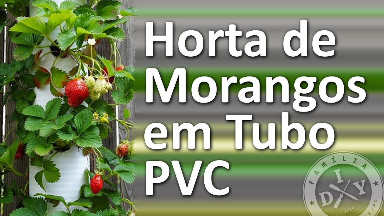 ???? HORTA DE MORANGO NO CANO PVC - FAMÍLIA DIY