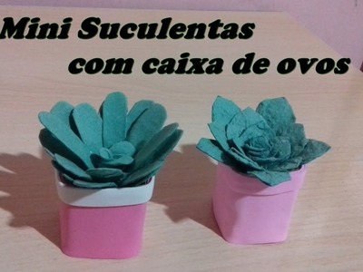 Diy -  Mini Suculentas com caixa de ovos  - Kelly Almeida