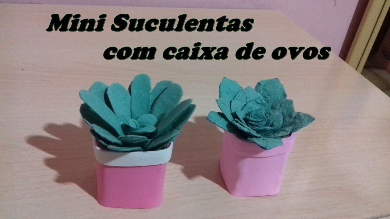 Diy -  Mini Suculentas com caixa de ovos  - Kelly Almeida