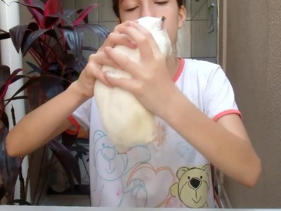 Fini cítrico com a porquinha #Diy idéia com cola quente