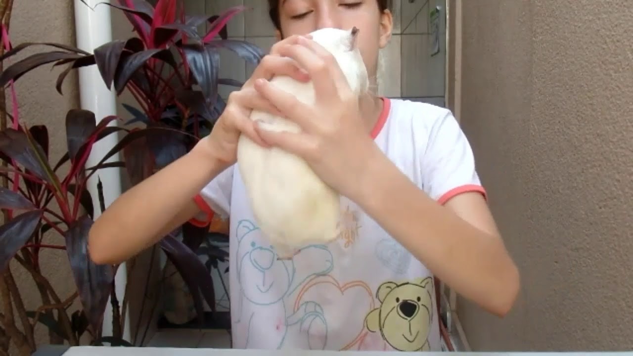 Fini cítrico com a porquinha #Diy idéia com cola quente