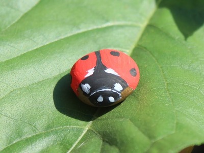 Joaninha - pintura em pedra decoração mini jardim. Lady Bug rock painting