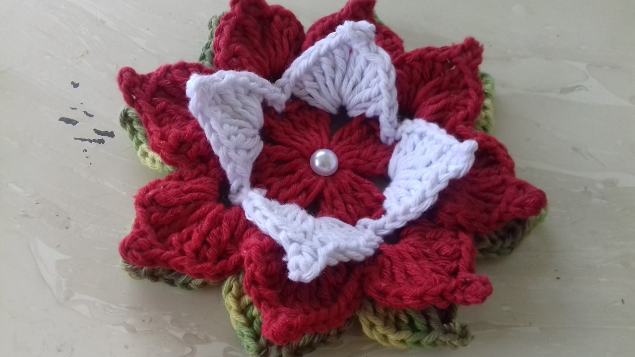 Video Aulas Flor em Crochê Para Aplicação em Diversos Trabalhos de Crochê Cristina Coelho Alves
