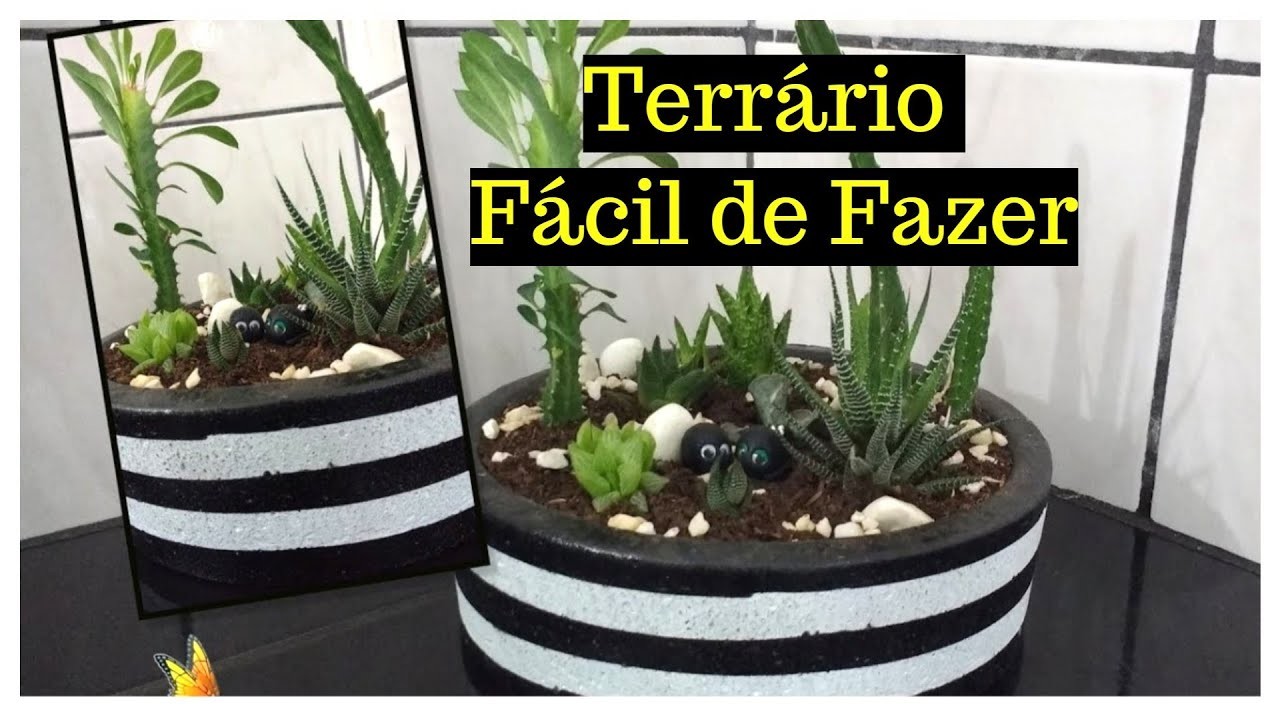 DIY-Terrário Para Plantas