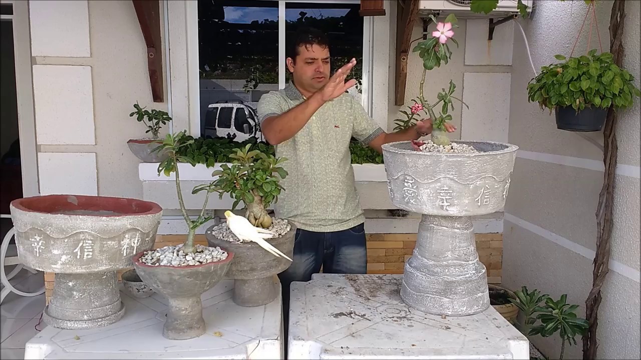 Como fazer vaso de cimento taça grande, mais fácil, jarro passo a passo, Concrete cup vase