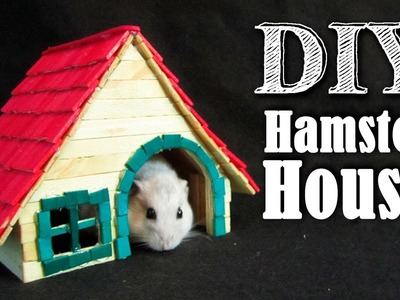 DIY Casinha de Palitos para Hamster | Casinha para hamster 5