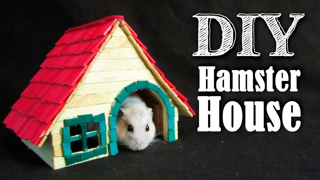 DIY Casinha de Palitos para Hamster | Casinha para hamster 5