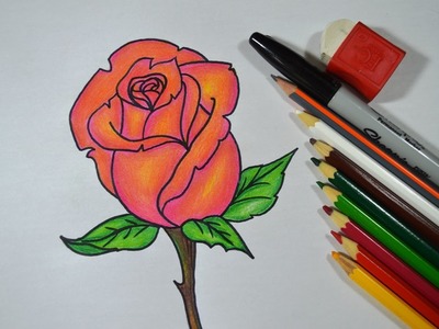 Como desenhar e colorir ROSA passo a passo