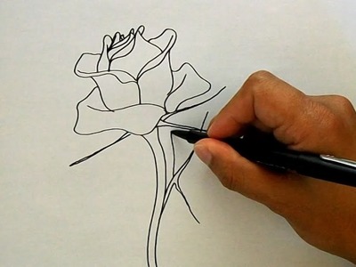 Como desenhar uma rosa - How to draw a rose