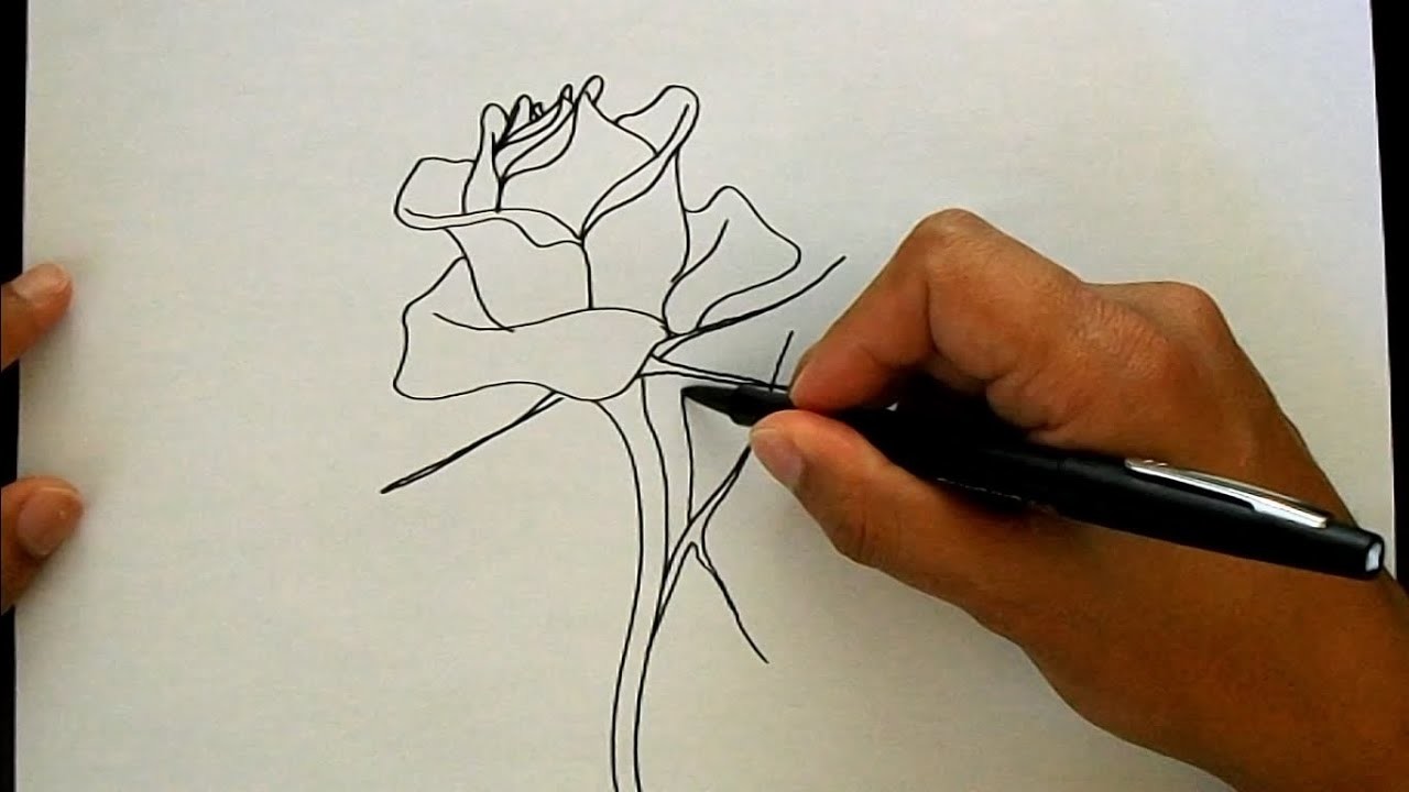 Como desenhar uma rosa - How to draw a rose