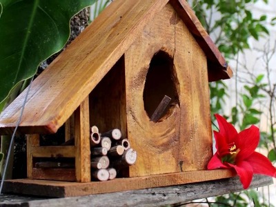 Casa de Passarinho - Bird house