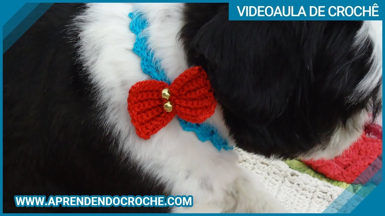 Coleira de Crochê Cãozinho Ted - Aprendendo Crochê