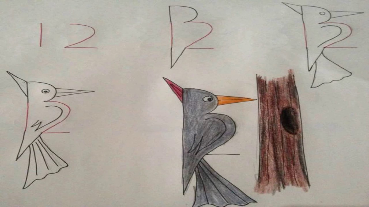 Aprenda os números e como desenhar animais com números Fazendeiro na música Dell Kids Ed