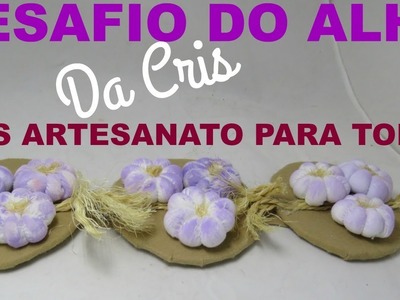 DESAFIO DO ALHO DA CRIS ft. Simone Braga