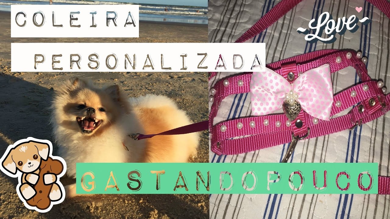 Faça você mesma (DIY) Coleira para cachorro personalizada GASTANDO POUCO