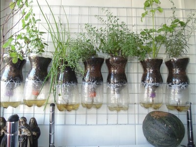 Horta  - Como plantar nos vasos auto irrigáveis