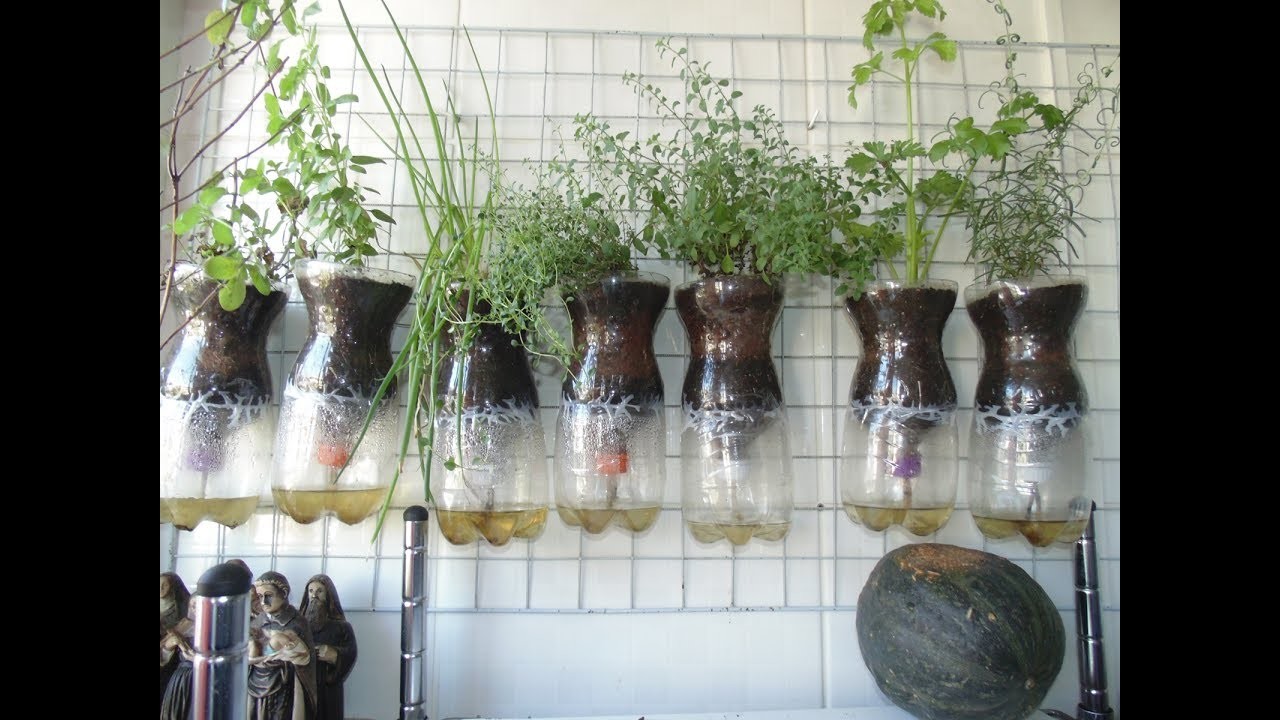 Horta  - Como plantar nos vasos auto irrigáveis