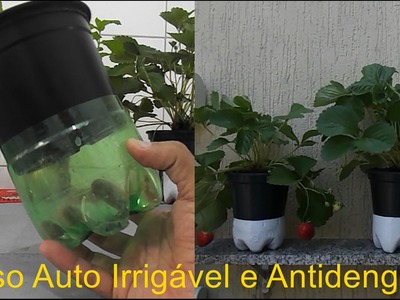 Vaso Auto Irrigável e antidengue