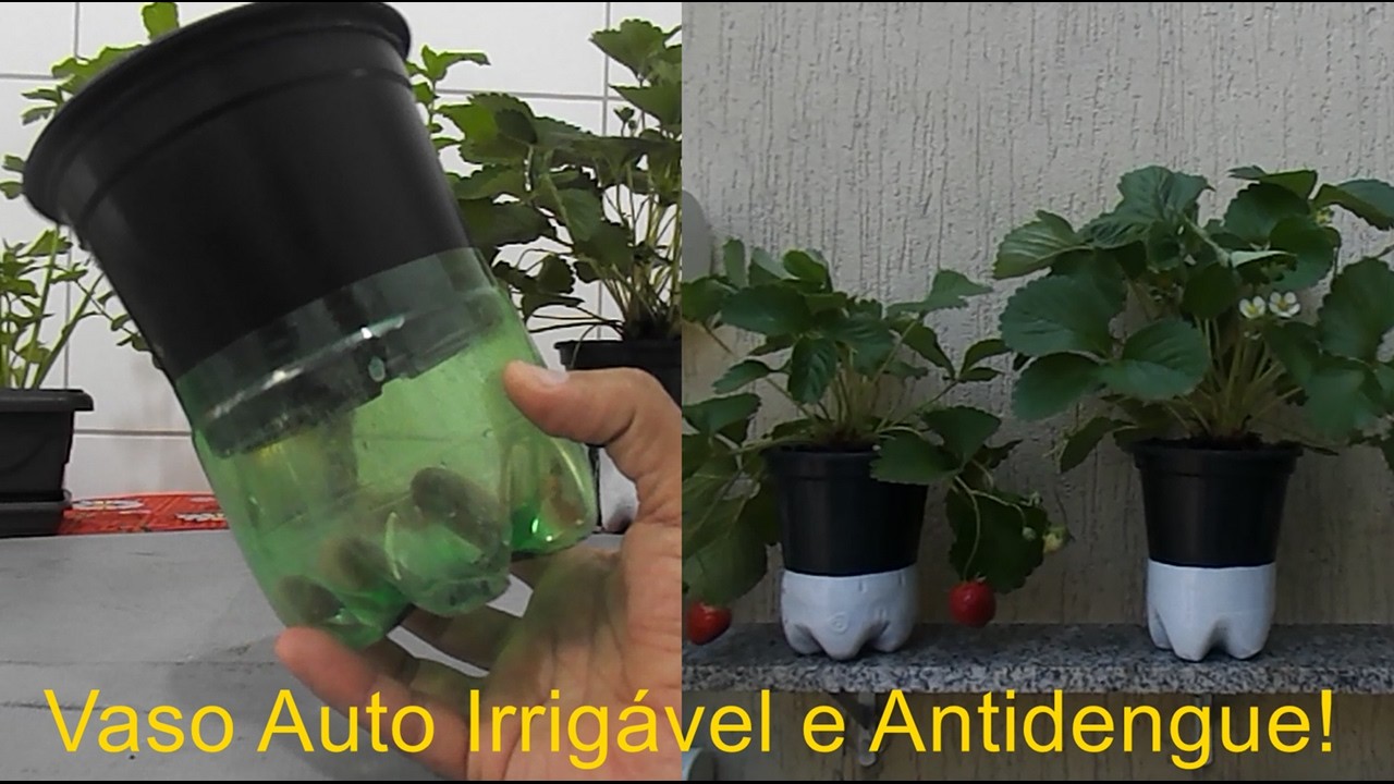 Vaso Auto Irrigável e antidengue