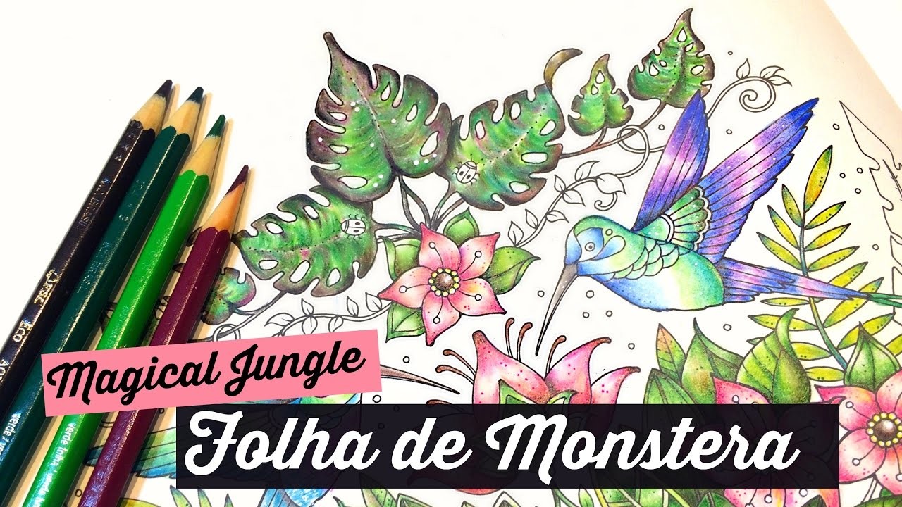 Magical Jungle | Folha de Monstera (Costela-de-Adão)