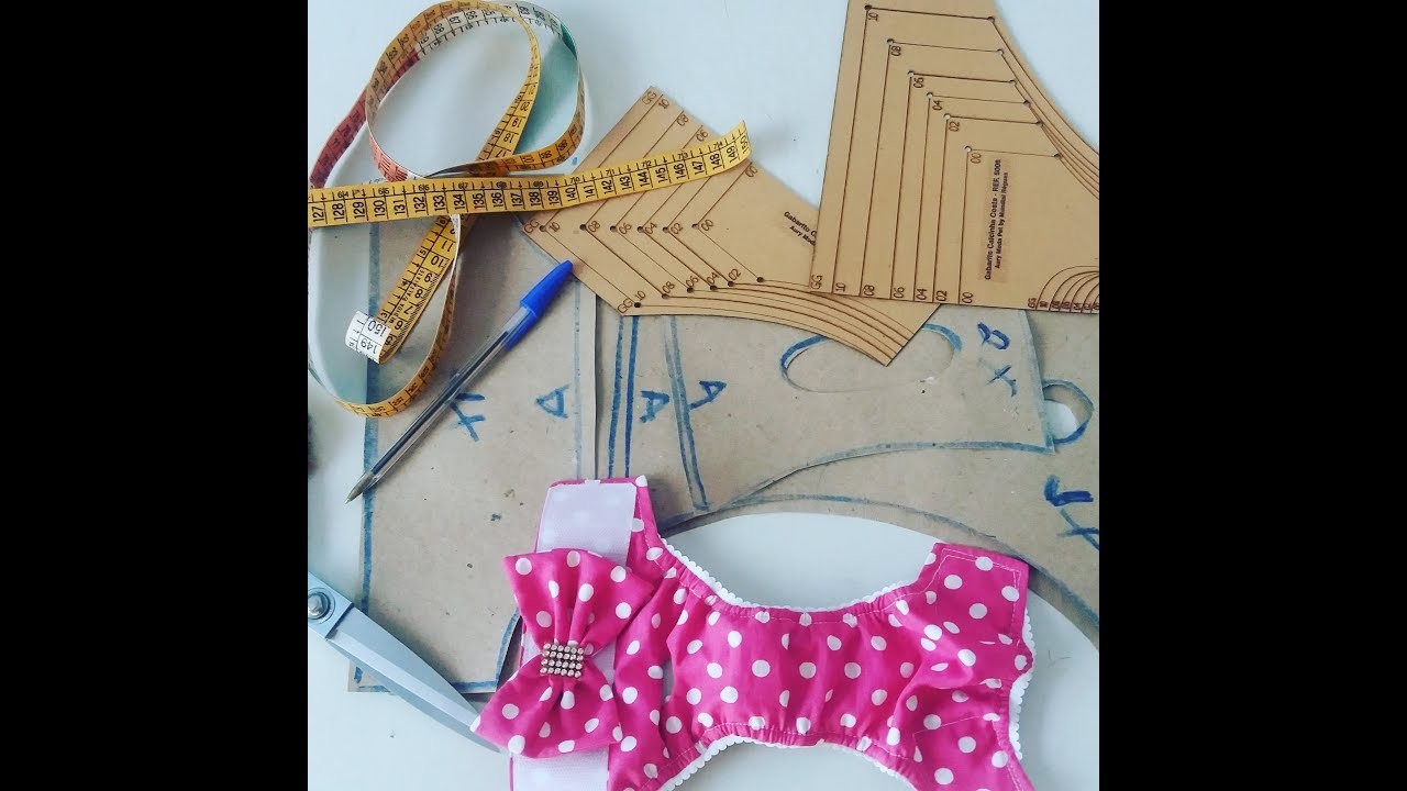 Cadela no Cio  #calcinha higiênica #gabaritos ????