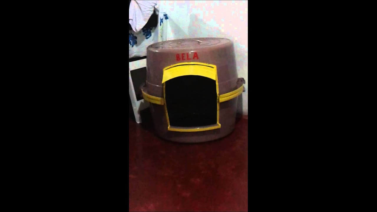 Casinha da bela