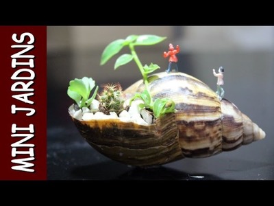 Mini jardim na concha de um caramujo, mini mundo no caracol | Feito a Mao