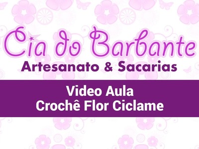 Video Aula - Croche Flor Ciclame