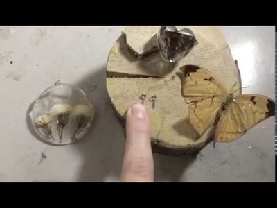 Como fazer colar de resina