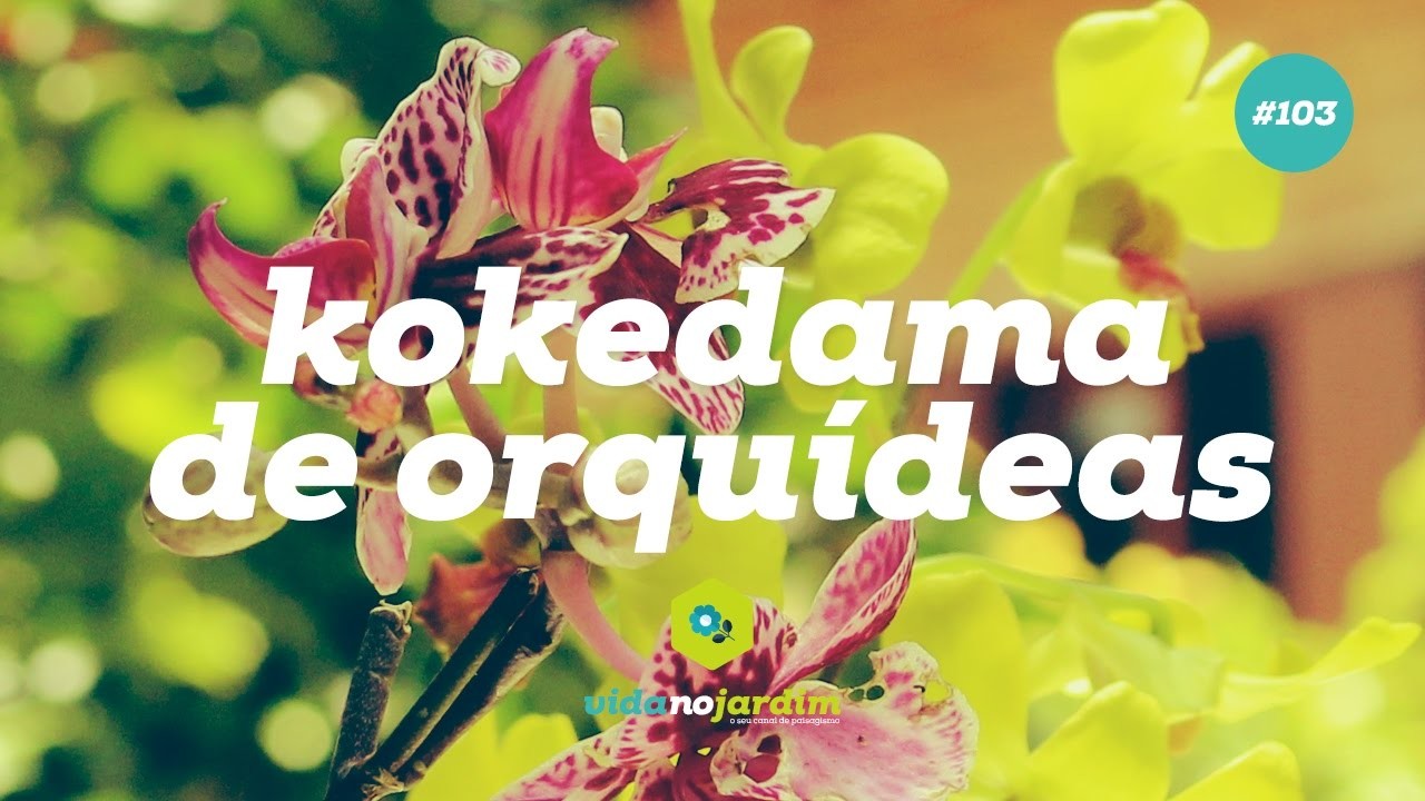 Como fazer kokedama de orquídeas