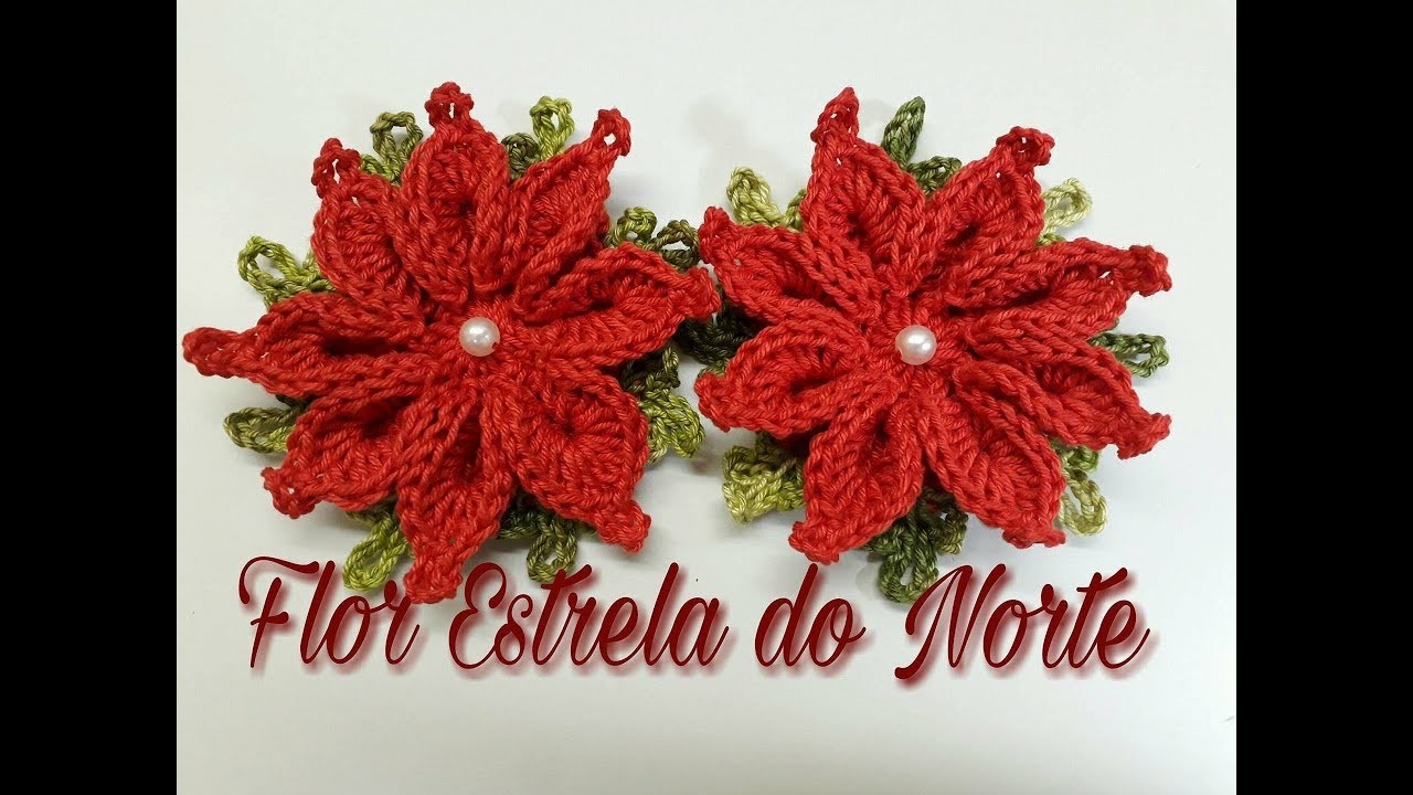 ????Flor Estrelɑ do Norte