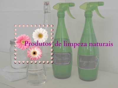 Produtos de limpeza naturais que eu uso - Potencializados!