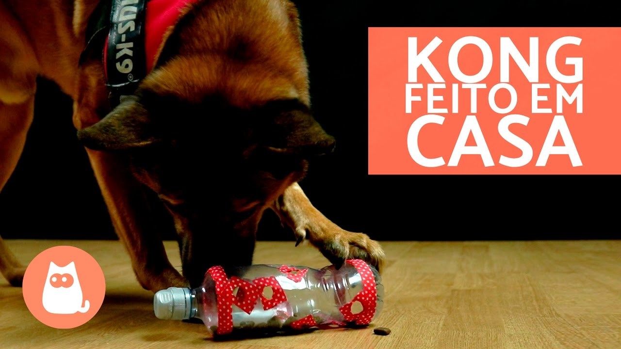 Brinquedo de garrafa pet para cachorro - KONG CASEIRO