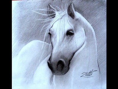 Desenhando um cavalo
